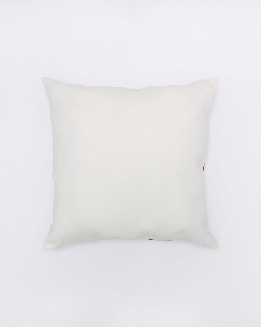 Cojin parte atras guasabro